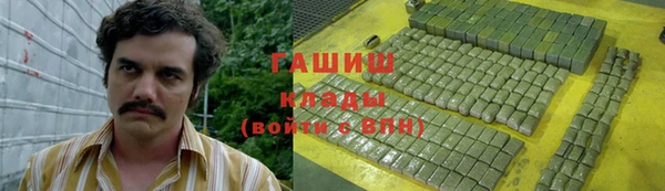 гидра Арсеньев