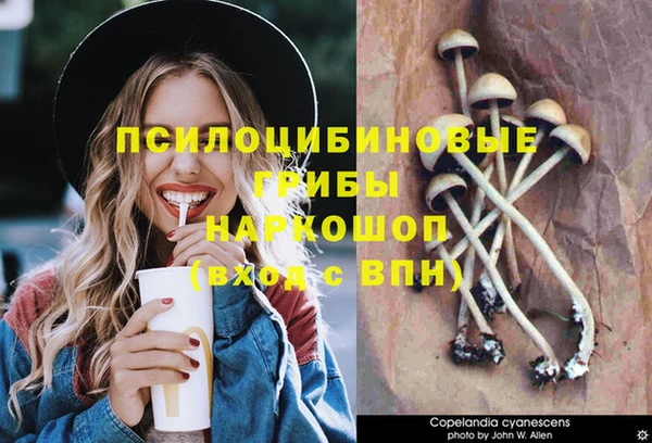 гидра Арсеньев