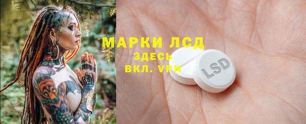 гидра Арсеньев
